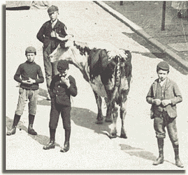 Four lads at the Fair