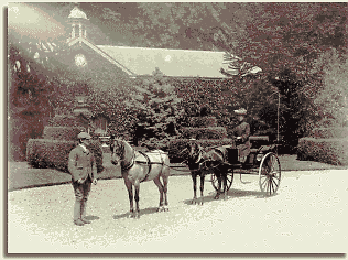 Anne driving a carriage