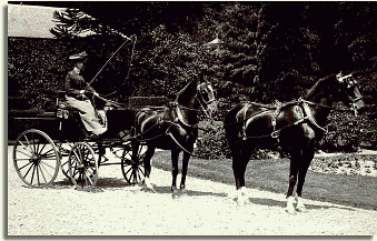 Anne driving a carriage