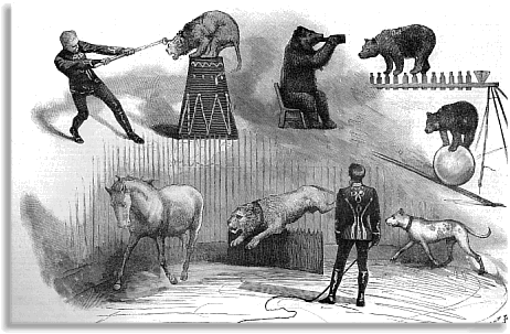 Syrcas, o'r Illustrated London News