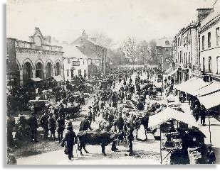 Y Drenewydd High Street Newtown