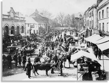 High Street, Newtown